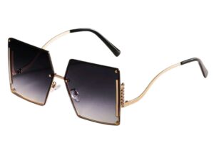 Liya Elegant – Sunglasses for Women with High Fashion Taste