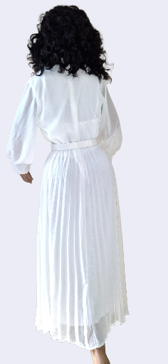 Sally Pleated Dress For Elegant Women - Image 3